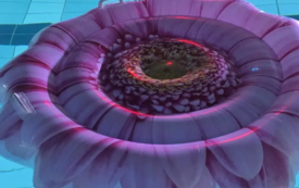 Galeria aktualności Nocne Pływanie 34